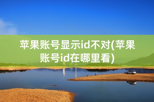 苹果账号显示id不对(苹果账号id在哪里看)