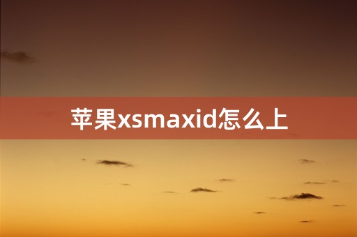 苹果xsmaxid怎么上