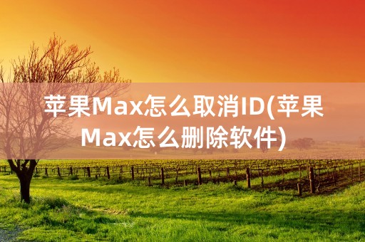 苹果Max怎么取消ID(苹果Max怎么删除软件)