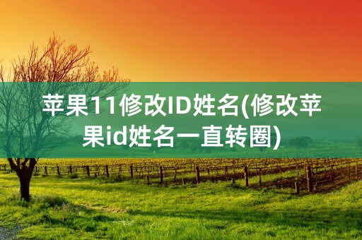 苹果11修改ID姓名(修改苹果id姓名一直转圈)