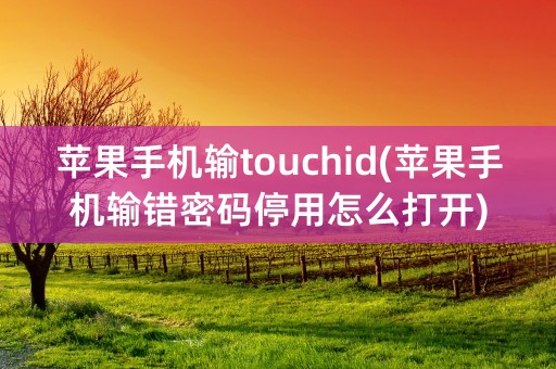 苹果手机输touchid(苹果手机输错密码停用怎么打开)