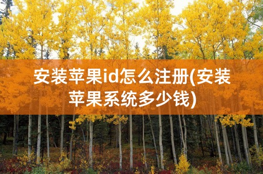 安装苹果id怎么注册(安装苹果系统多少钱)