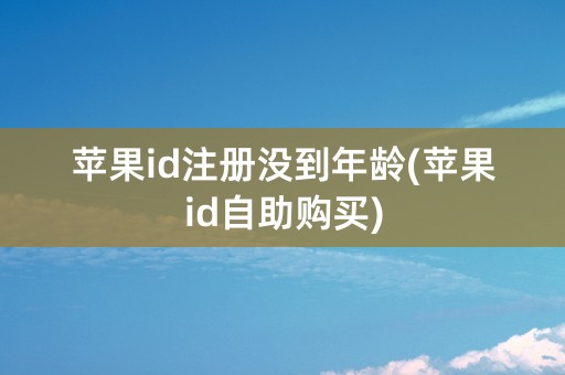 苹果id注册没到年龄(苹果id自助购买)