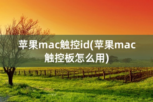 苹果mac触控id(苹果mac触控板怎么用)