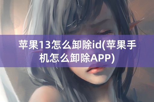 苹果13怎么卸除id(苹果手机怎么卸除APP)