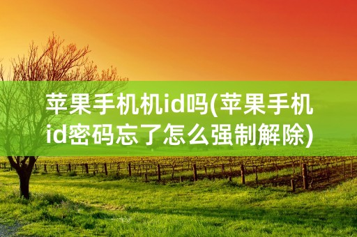 苹果手机机id吗(苹果手机id密码忘了怎么强制解除)