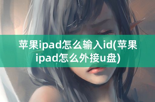 苹果ipad怎么输入id(苹果ipad怎么外接u盘)