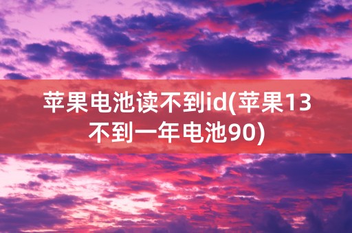 苹果电池读不到id(苹果13不到一年电池90)