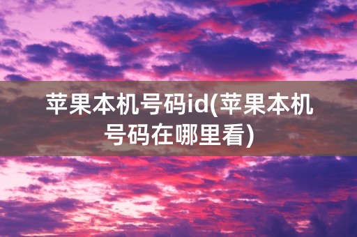 苹果本机号码id(苹果本机号码在哪里看)