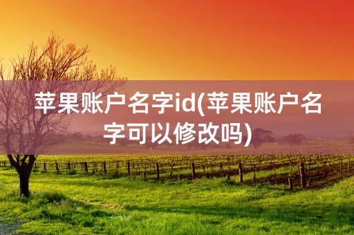 苹果账户名字id(苹果账户名字可以修改吗)