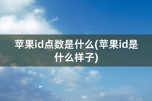 苹果id点数是什么(苹果id是什么样子)