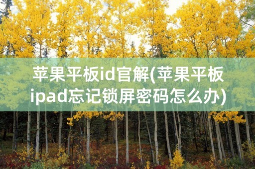 苹果平板id官解(苹果平板ipad忘记锁屏密码怎么办)