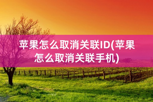 苹果怎么取消关联ID(苹果怎么取消关联手机)