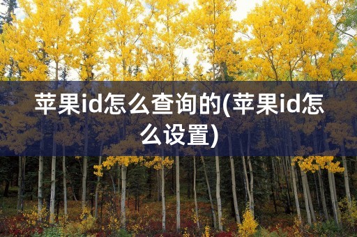 苹果id怎么查询的(苹果id怎么设置)