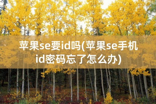 苹果se要id吗(苹果se手机id密码忘了怎么办)