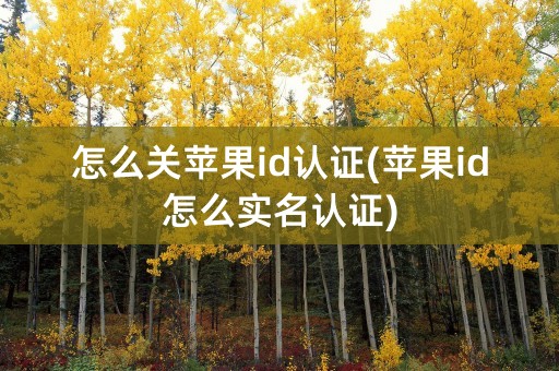 怎么关苹果id认证(苹果id怎么实名认证)