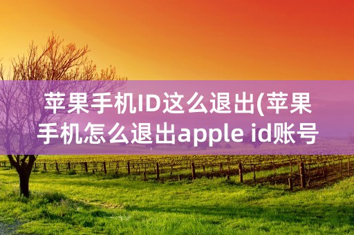 苹果手机ID这么退出(苹果手机怎么退出apple id账号)