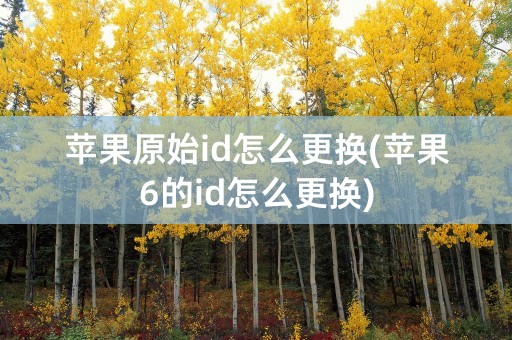 苹果原始id怎么更换(苹果6的id怎么更换)