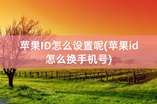 苹果ID怎么设置呢(苹果id怎么换手机号)