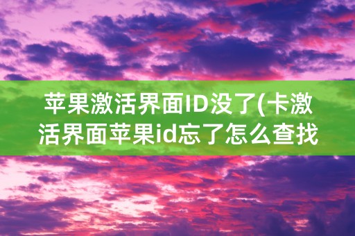 苹果激活界面ID没了(卡激活界面苹果id忘了怎么查找手机)