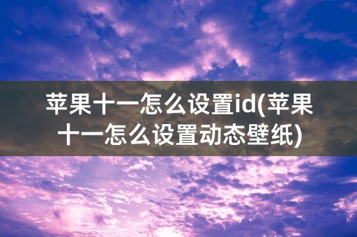 苹果十一怎么设置id(苹果十一怎么设置动态壁纸)