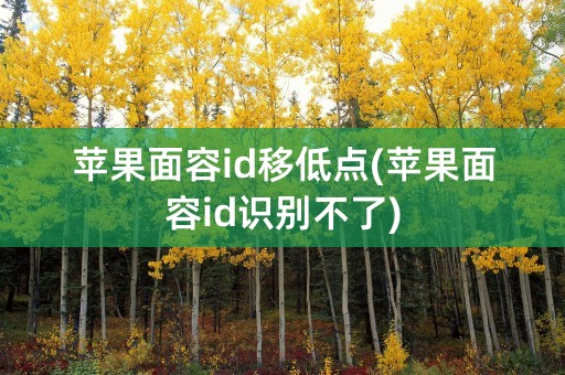 苹果面容id移低点(苹果面容id识别不了)