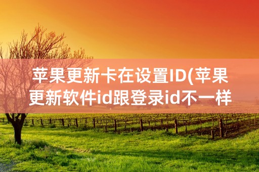 苹果更新卡在设置ID(苹果更新软件id跟登录id不一样)