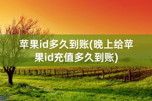 苹果id多久到账(晚上给苹果id充值多久到账)