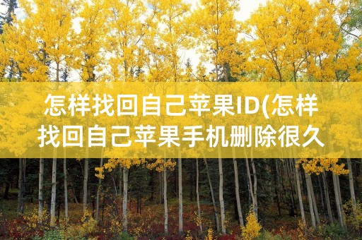 怎样找回自己苹果ID(怎样找回自己苹果手机删除很久的聊天记录)