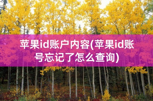 苹果id账户内容(苹果id账号忘记了怎么查询)