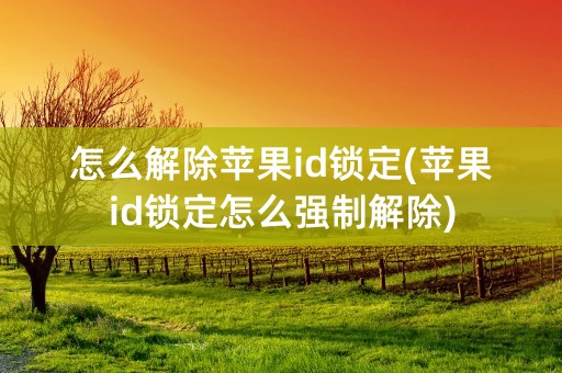 怎么解除苹果id锁定(苹果id锁定怎么强制解除)