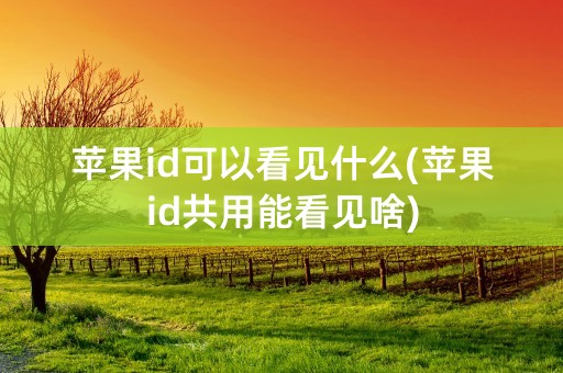 苹果id可以看见什么(苹果id共用能看见啥)