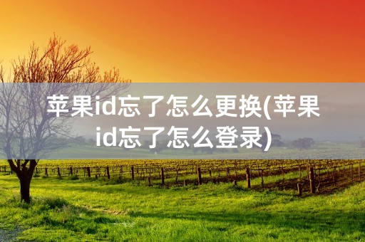 苹果id忘了怎么更换(苹果id忘了怎么登录)