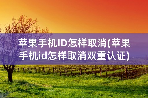 苹果手机ID怎样取消(苹果手机id怎样取消双重认证)