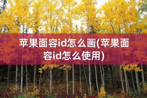 苹果面容id怎么画(苹果面容id怎么使用)