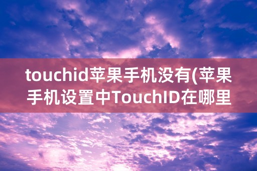 touchid苹果手机没有(苹果手机设置中TouchID在哪里)