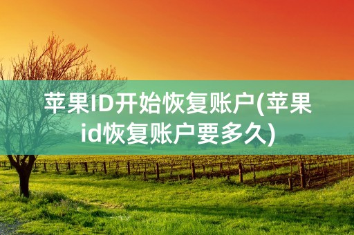 苹果ID开始恢复账户(苹果id恢复账户要多久)