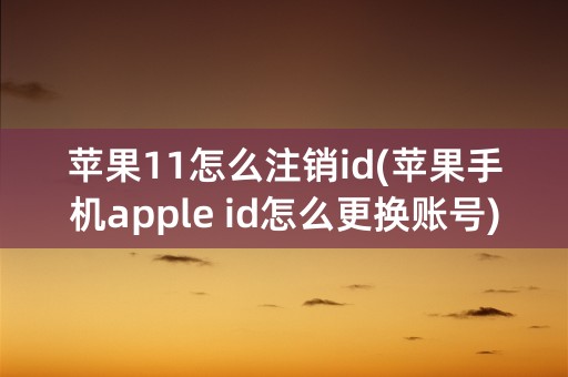 苹果11怎么注销id(苹果手机apple id怎么更换账号)