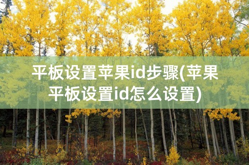 平板设置苹果id步骤(苹果平板设置id怎么设置)