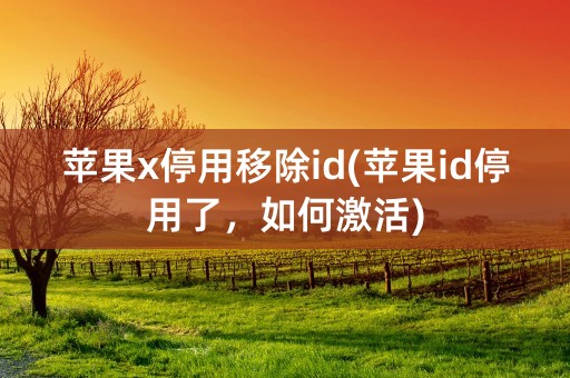 苹果x停用移除id(苹果id停用了，如何激活)