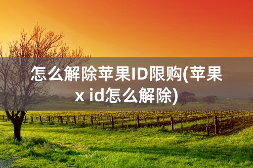 怎么解除苹果ID限购(苹果x id怎么解除)