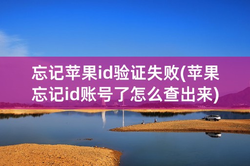 忘记苹果id验证失败(苹果忘记id账号了怎么查出来)