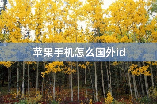 苹果手机怎么国外id