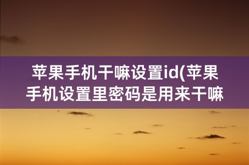 苹果手机干嘛设置id(苹果手机设置里密码是用来干嘛的)