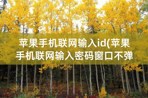 苹果手机联网输入id(苹果手机联网输入密码窗口不弹出)