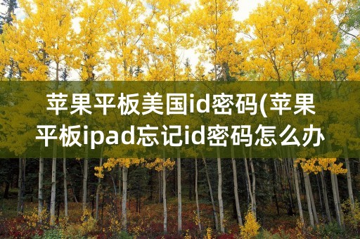 苹果平板美国id密码(苹果平板ipad忘记id密码怎么办)