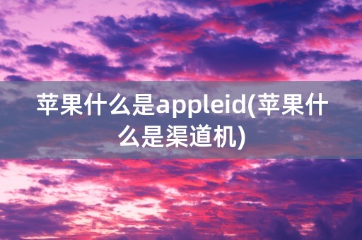 苹果什么是appleid(苹果什么是渠道机)