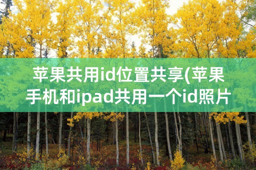 苹果共用id位置共享(苹果手机和ipad共用一个id照片会共享吗)