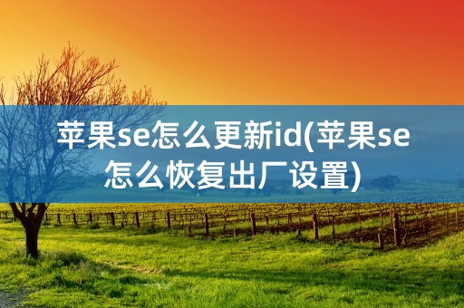 苹果se怎么更新id(苹果se怎么恢复出厂设置)