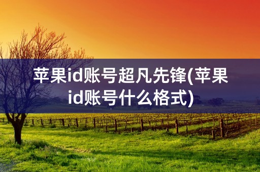 苹果id账号超凡先锋(苹果id账号什么格式)